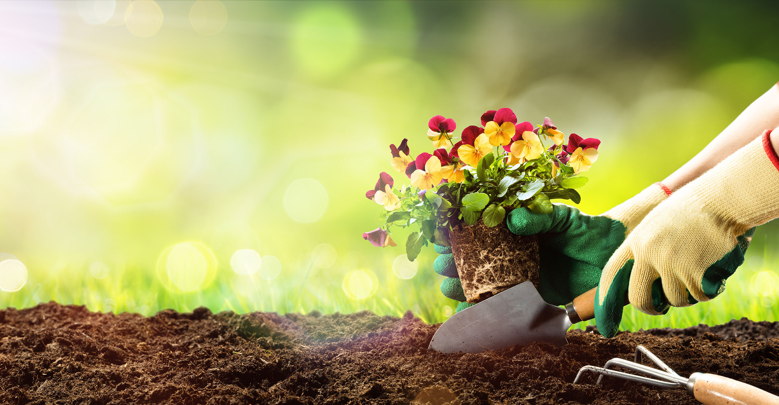 Soil Basics